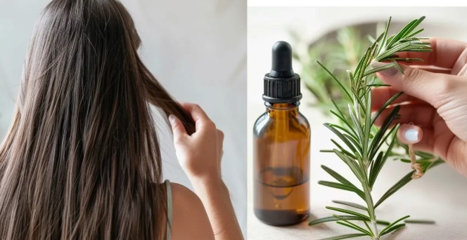 biberiye saca faydalari